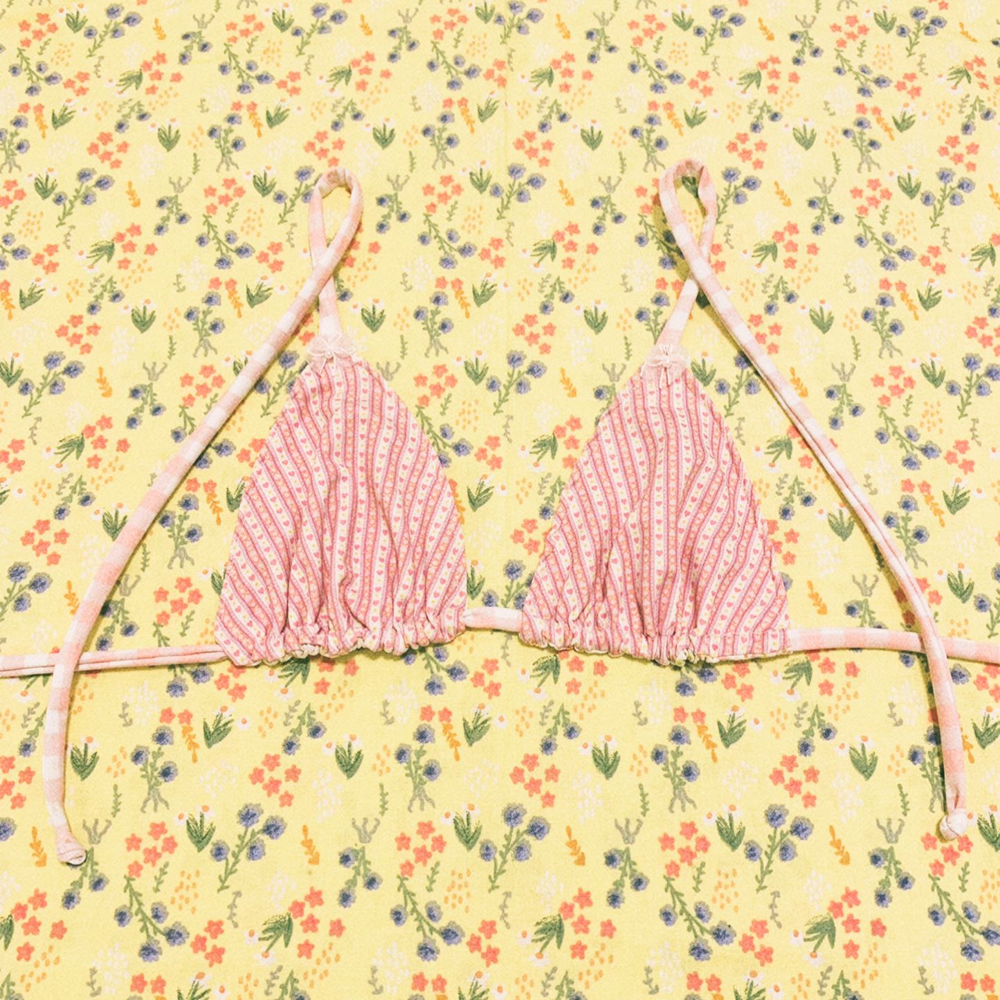Billie Brooks bikini in Pink Folk
